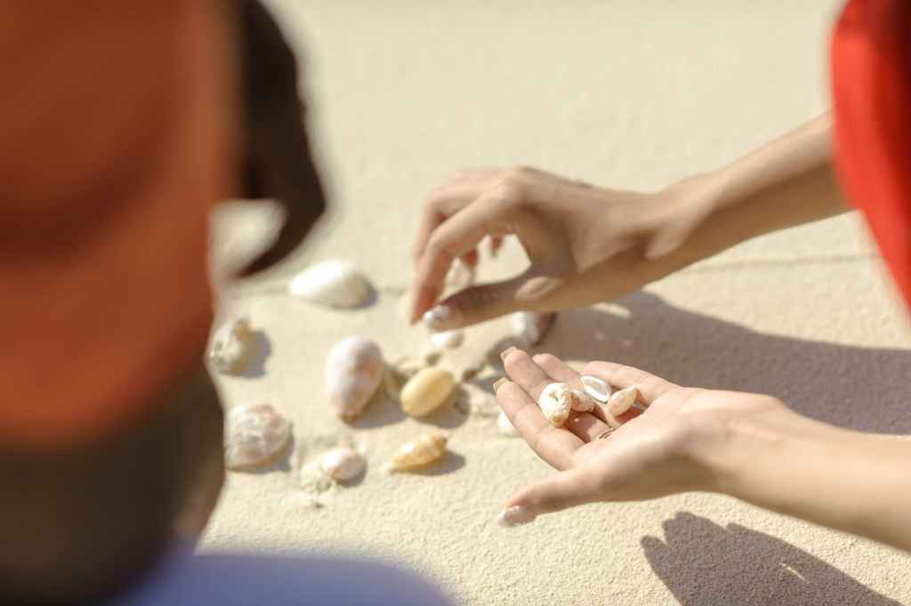 Por qué no recolectar conchas en la playa